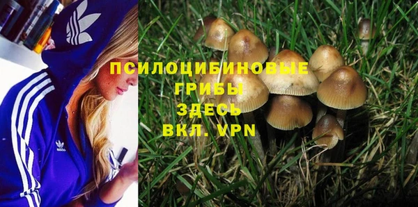 Альфа ПВП Белокуриха