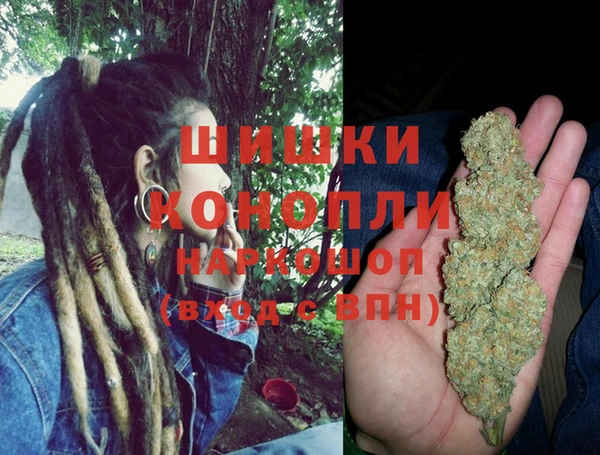 Альфа ПВП Белокуриха