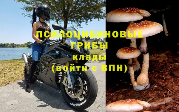 PSILOCYBIN Богородицк