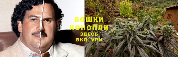 Альфа ПВП Белокуриха